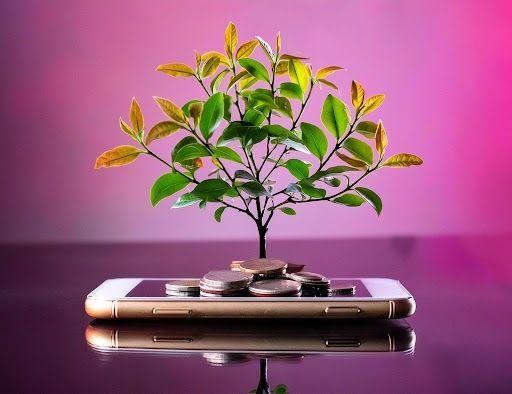money growing on phone 1.jpg